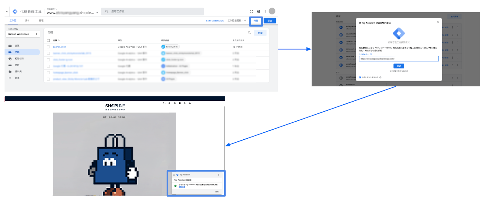 「Tag Assistant 已連線」示意