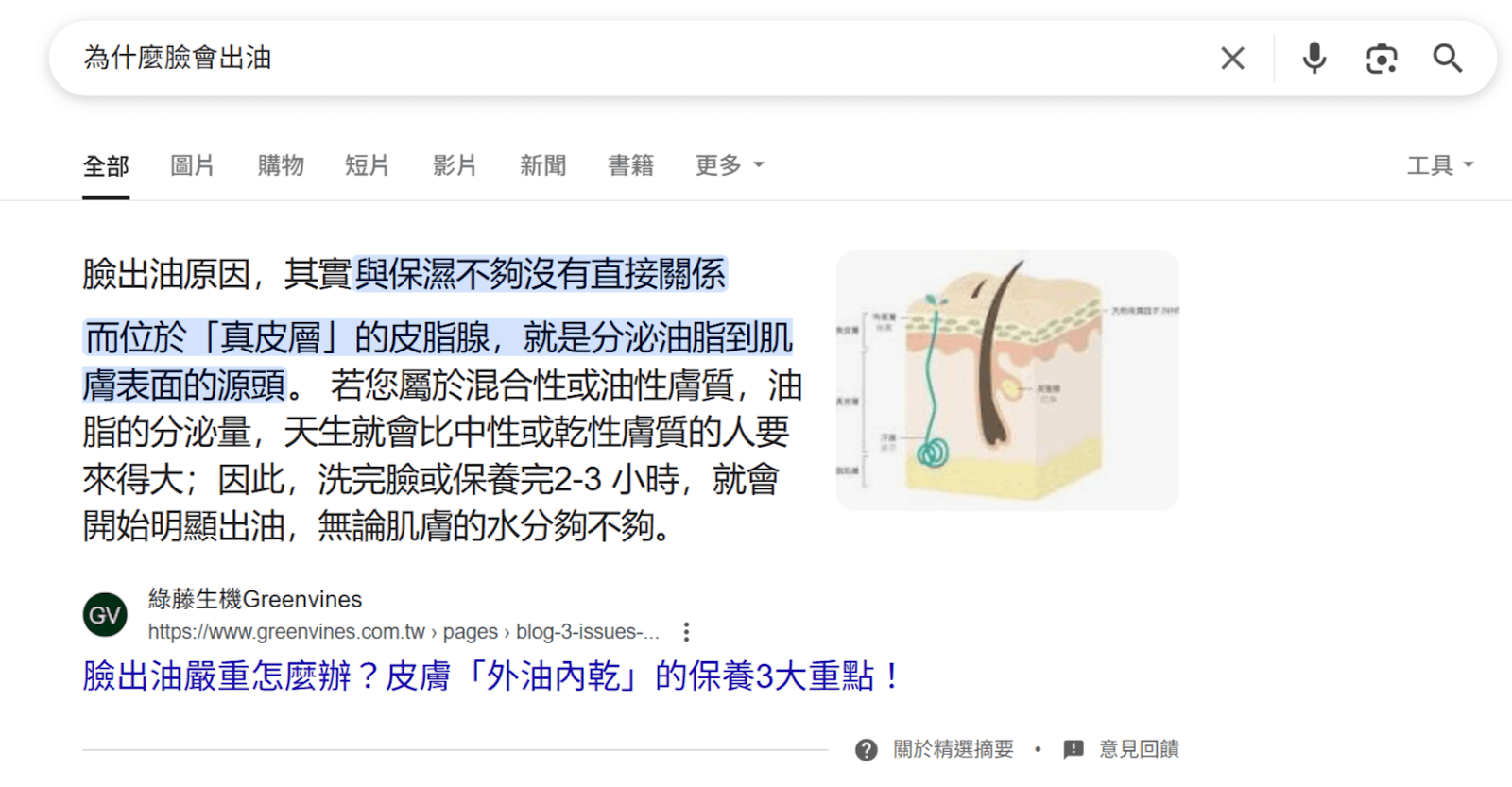 段落型精選摘要示意